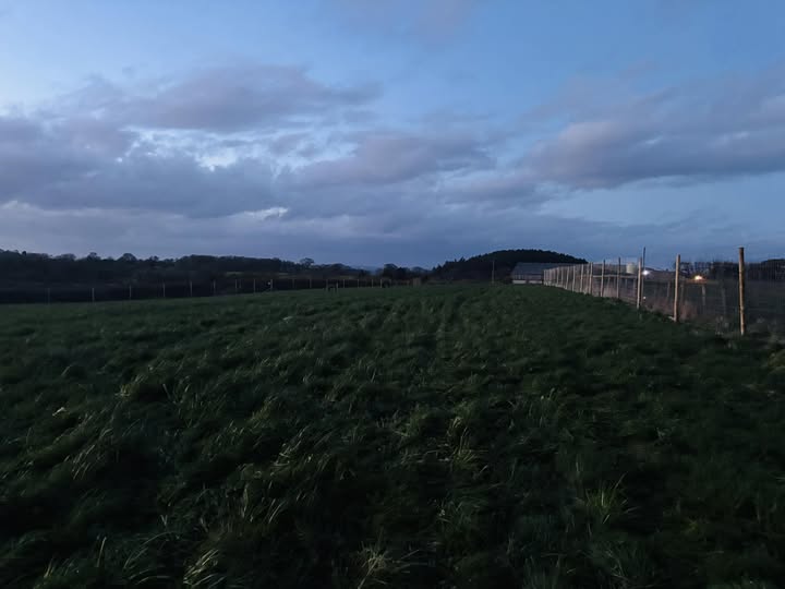 Telford